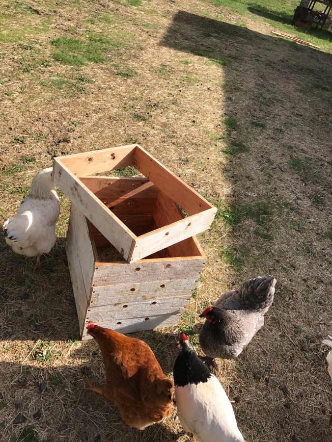 Image uploaded from iOS (2)